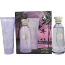 Caribbean Joe Island Splash Gift Set 100ml EDP + 100ml Body Lotion