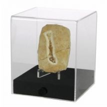 Acryl-Vitrine "cube" 12 x 12 x 14 cm