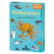 50 Meerestiere erkennen & bestimmen
