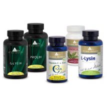 Kollagenbildung Bundle Vegan | Glycin, Prolin, Lysin, Vit C+Zink, Eisen | 540 vegane Kapseln | Dr. med. Michalzik