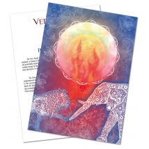 VedaCard Pitta  |  Dr. med. Michalzik