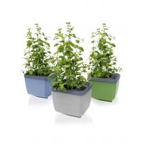 Meine Gartenwelt HERBS BUDDY, 3er-Set x hellgrau,dunkelgrün,blau