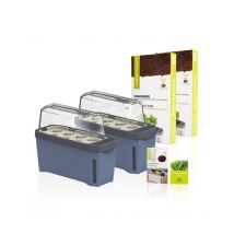 Meine Gartenwelt Kräuterpower Starter Set x blau