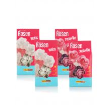 Lecker daheim 4er-Set Rosen x bunt