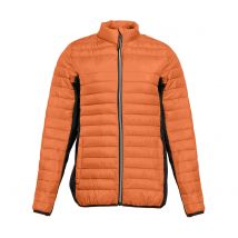 DOUDOUNE AVEC MANCHES (homme) - Blagapro - PK517