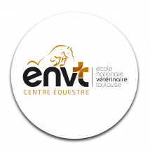 STICKER ROND - ENVT