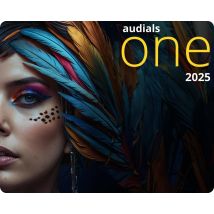 Audials One 2025 duração ilimitada