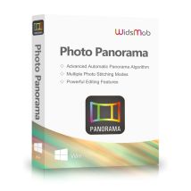 Panorama Fotográfico Widsmob