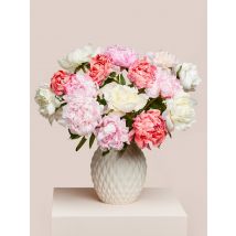 Colorburst Peony Mix 15