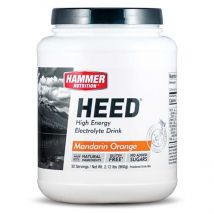 HAMMER NUTRITIN Electrlyte-Drink Heed range (32 prtins)