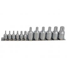 Bluespot Tools 01551 12 Piece Mixed Drive Torx Socket Set