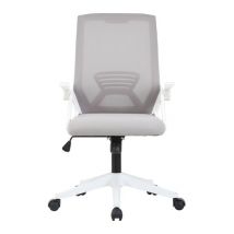 ZEN Light Ice Gaming Office Chair - Graphite