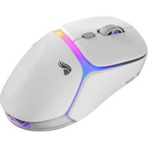 GLORIOUS Model D3 RGB Wireless Optical Gaming Mouse