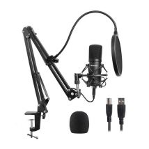 PROSOUND PROS-04AUA Microphone & Boom Arm - Black