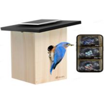BIRDFY House Ebony Lite Smart Camera Bird Feeder with Solar Panel - Fir