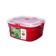 SISTEMA 2.4-litre Medium Microwave Steamer