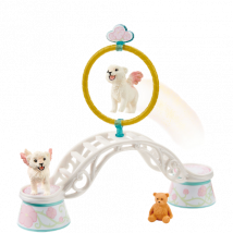 Schleich Training voor Gevleugelde Babyleeuwen - 42524