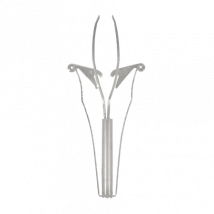 Automatisch pincet Titania