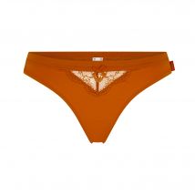 String Solea