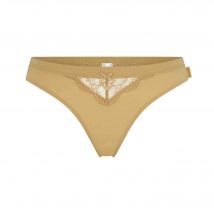 String Solea