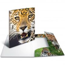 HERMA Sammelmappe A4 Leopard Polypropylen