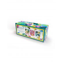 Baija - Coffret Trio Bougie Moana + Delirium Floral + Sieste Tropicale