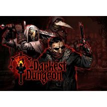 Darkest Dungeon EN/DE/FR/CS Global
