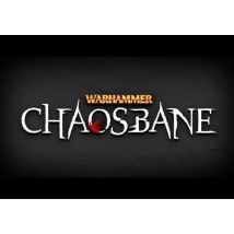 Warhammer: Chaosbane EN Argentina