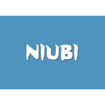 NIUBI Partition Editor Enterprise Edition EN Global