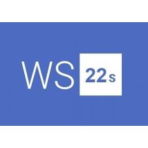 Windows Server 2022 Remote Desktop Services - 50 User Connections EN/DE/FR/IT/JA/RU/ZH/ES Global