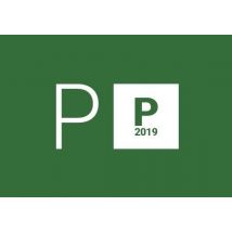 Project Professional 2019 for 2 PC EN Global