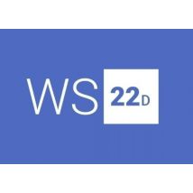 Windows Server 2022 Standard 5 Users Global
