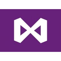 Visual Studio Professional 2022 EN Global