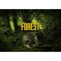The Forest EN EU