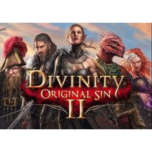 Divinity: Original Sin 2 Divine Edition EN/DE/FR EU