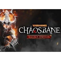 Warhammer: Chaosbane Magnus Edition EN EU