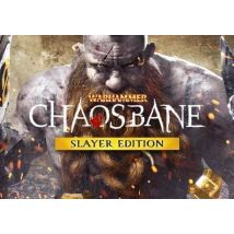 Warhammer: Chaosbane Slayer Edition EN United States