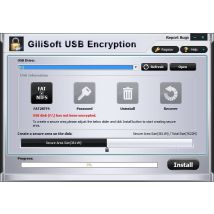 Gilisoft USB Encryption EN Global
