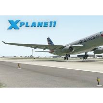 X-Plane 11 EN/DE/FR/IT/PT/RU/ES EU