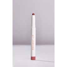 Project Lip Plump & Fill Lip Liner Play, Play