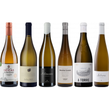 Albarino Premium Tasting Case