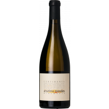 Anselmo Mendes Curtimenta Alvarinho 2023