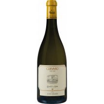 Antinori Cervaro della Sala 2022