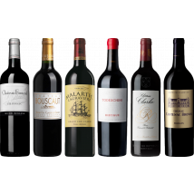 Bordeaux Red Tasting Case