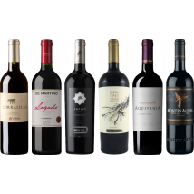 Carmenere Tasting Case