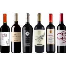 Carmenere Tasting Case