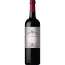 Catena Zapata DV Catena Tinto Historico 2022
