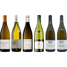 Chablis Tasting Case