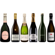 Champagne Premium Tasting Case