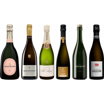 Champagne Premium Tasting Case